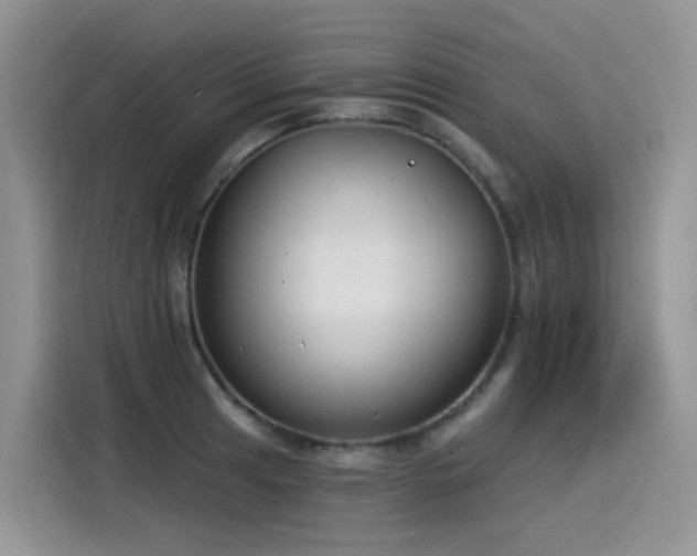 X0000115531041200911131501