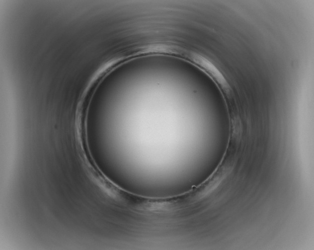 X0000115531043200911131501