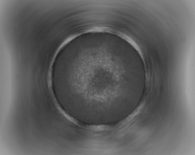 X0000115531045200911131501