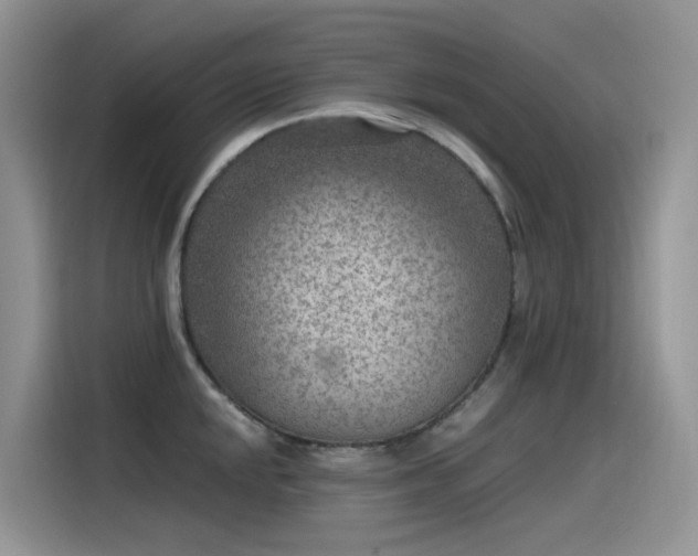 X0000115531048200911131501