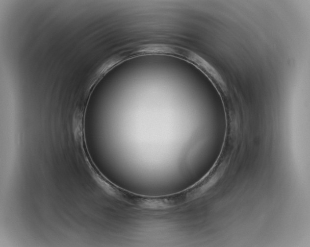 X0000115531049200911131501