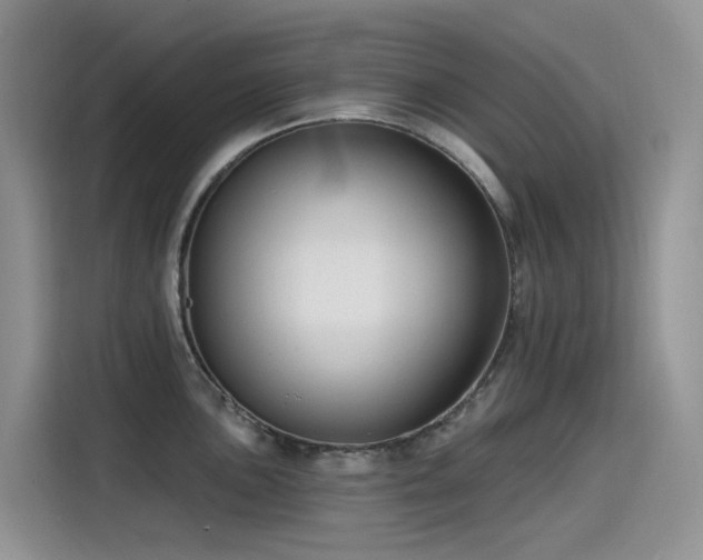 X0000115531051200911131501