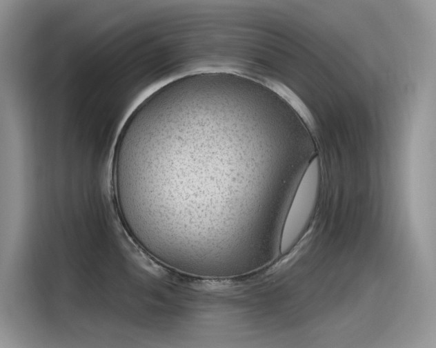 X0000115531052200911131501