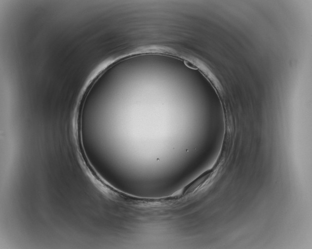 X0000115531054200911131501