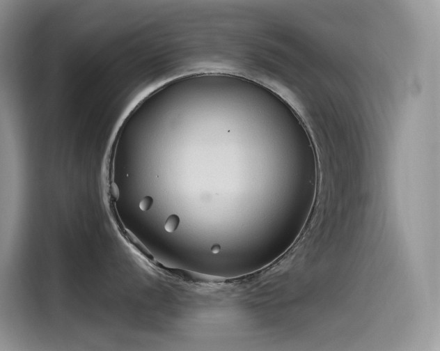 X0000115531056200911131501