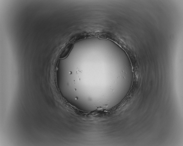 X0000115531057200911131501