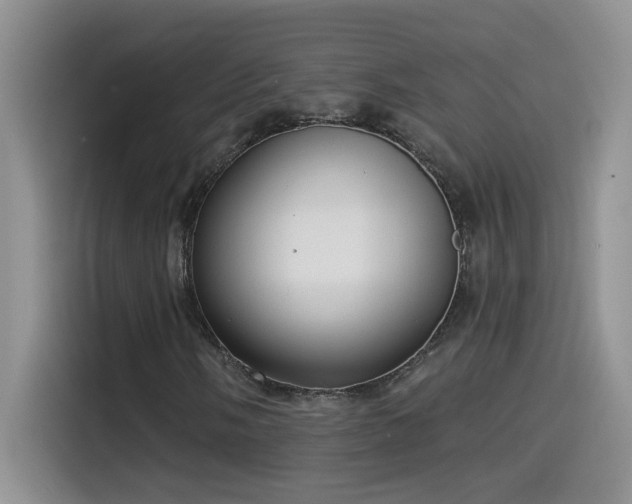 X0000115531058200911131501