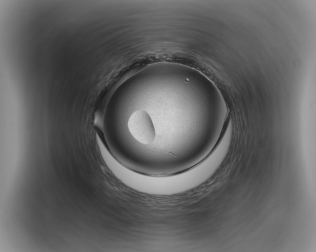 X0000115531060200911131501