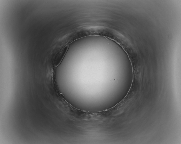 X0000115531061200911131501