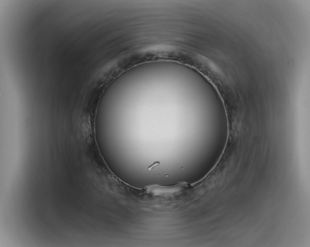 X0000115531062200911131501