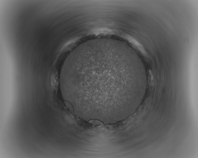 X0000115531063200911131501