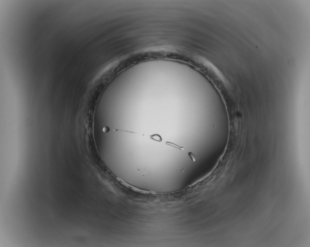 X0000115531064200911131501