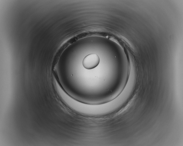 X0000115531065200911131501