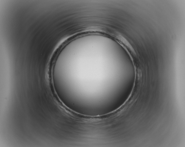 X0000115531068200911131501