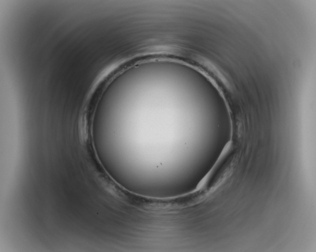 X0000115531069200911131501