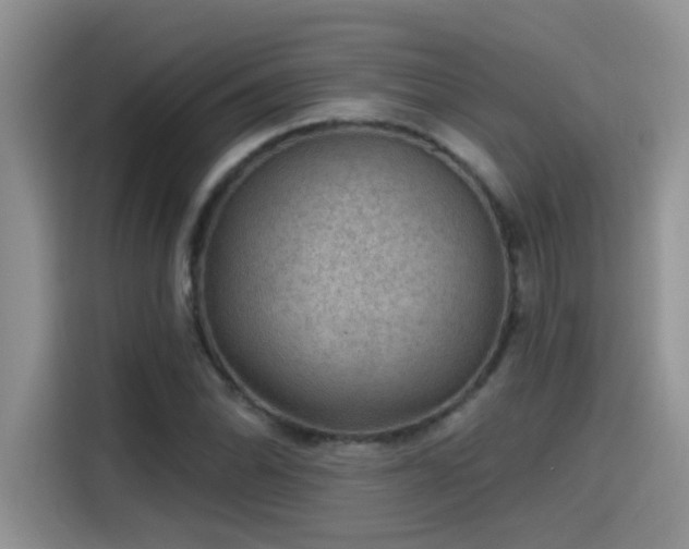 X0000115531070200911131501