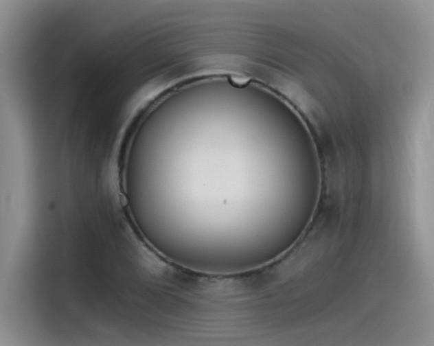 X0000115531072200911131501