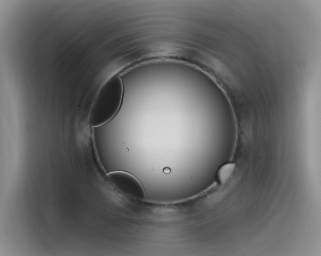 X0000115531073200911131501