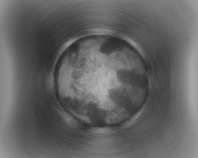 X0000115531074200911131501