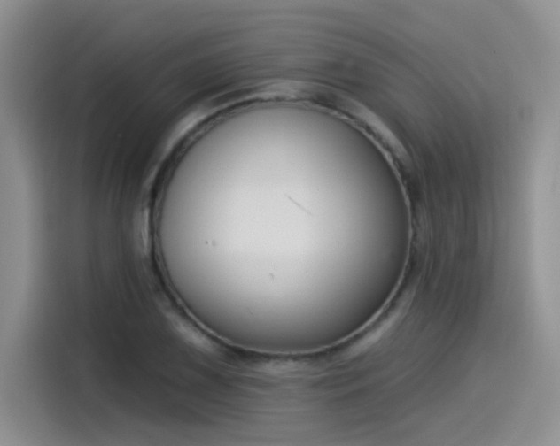 X0000115531075200911131501