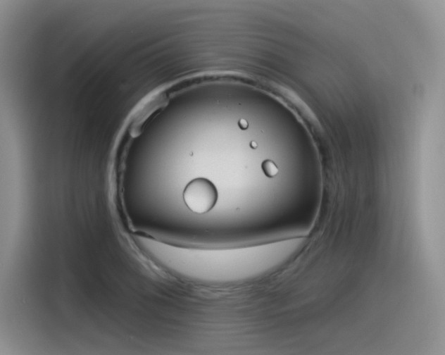 X0000115531076200911131501