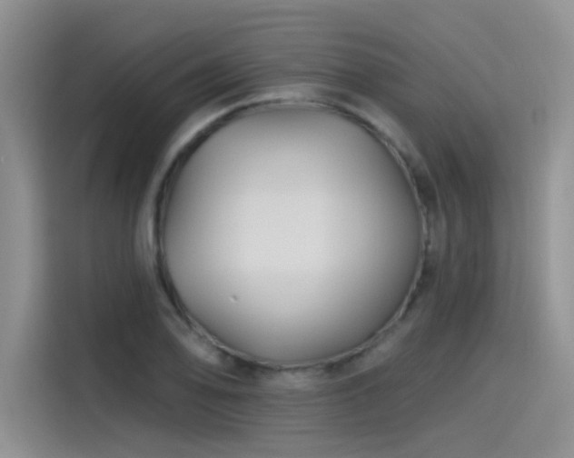 X0000115531078200911131500