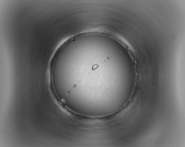 X0000115531079200911131500