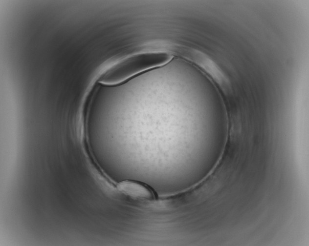 X0000115531080200911131500