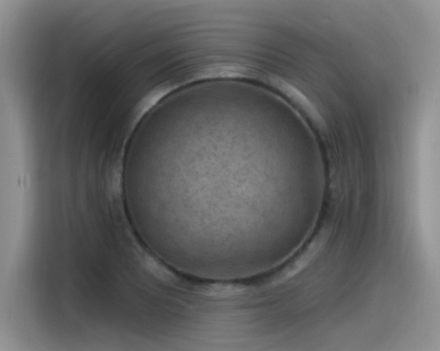 X0000115531081200911131500