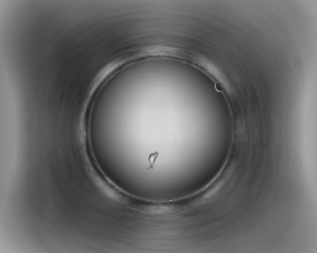 X0000115531082200911131500