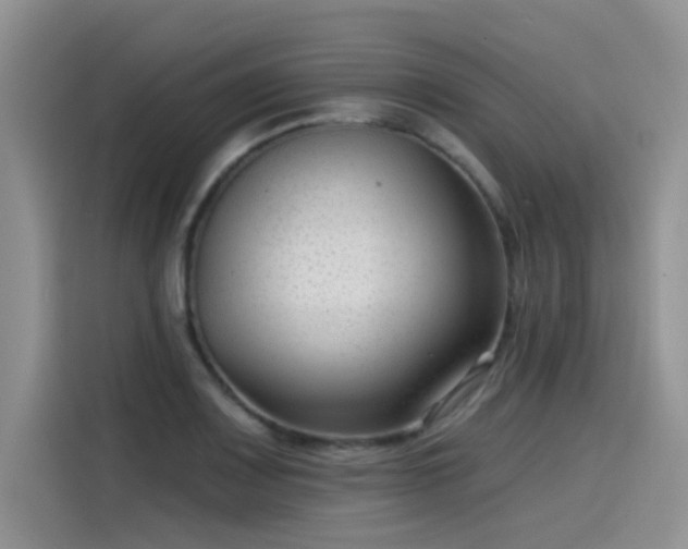 X0000115531083200911131500