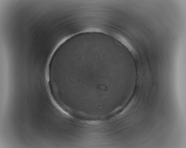 X0000115531084200911131500