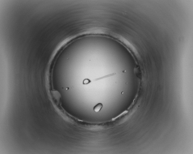 X0000115531085200911131500