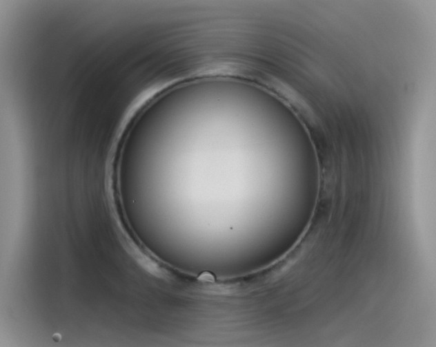 X0000115531086200911131500