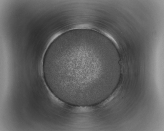 X0000115531087200911131500