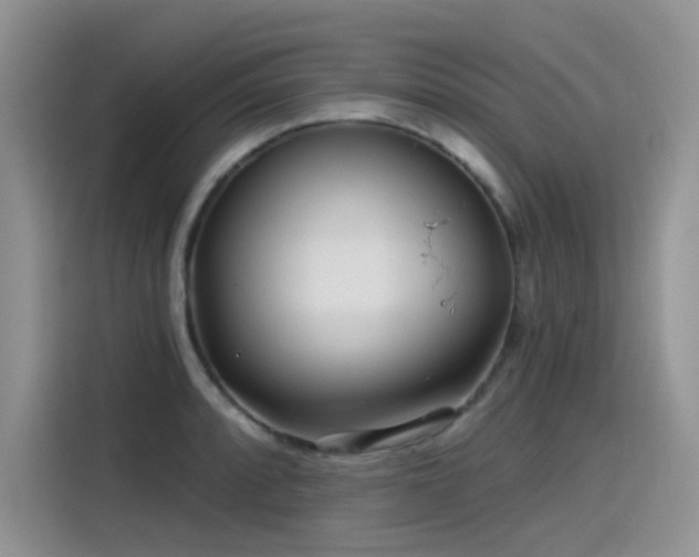 X0000115531088200911131500