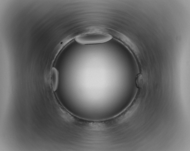 X0000115531089200911131500