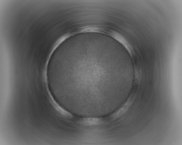 X0000115531090200911131500