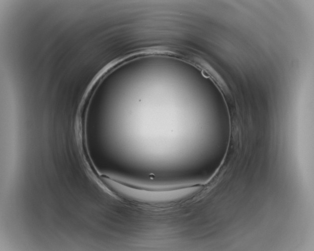 X0000115531092200911131500