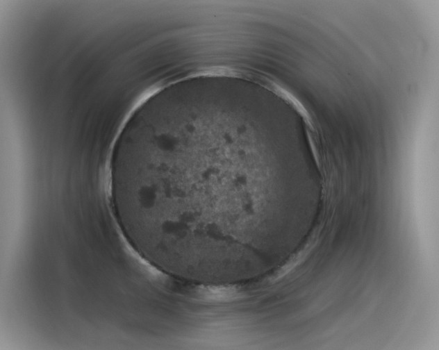 X0000115531095200911131500