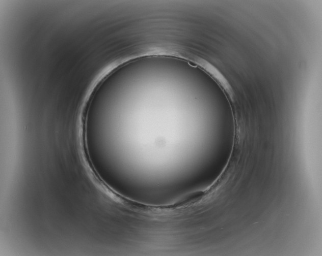 X0000115531096200911131500