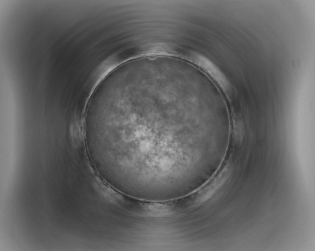 X0000115531097200911131500