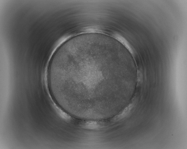 X0000115531098200911131500