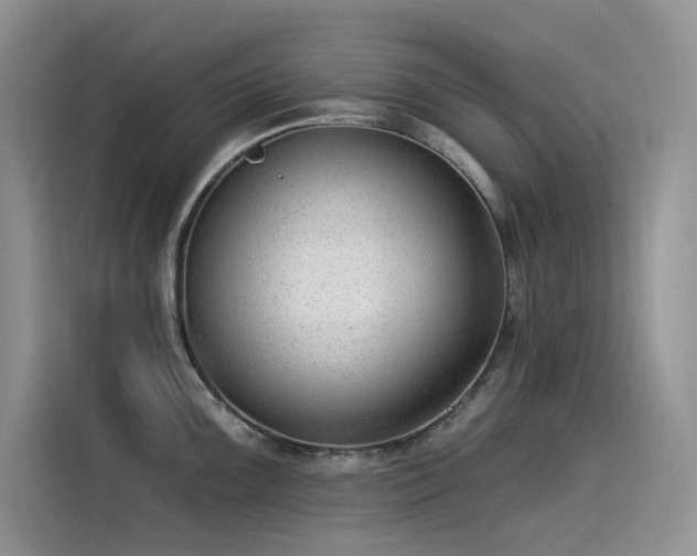 X0000115531099200911131500