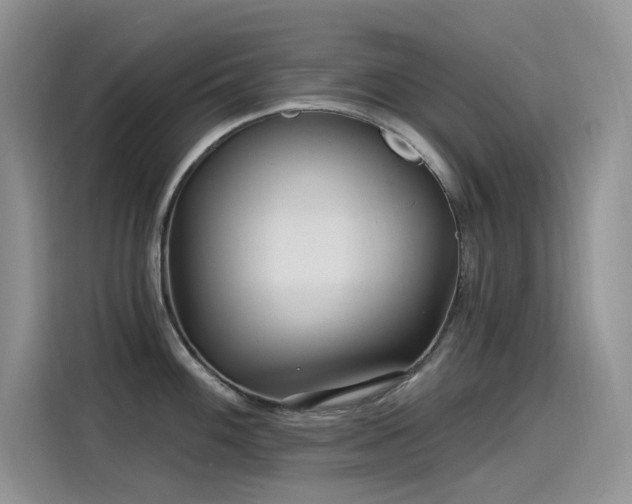 X0000115531100200911131500