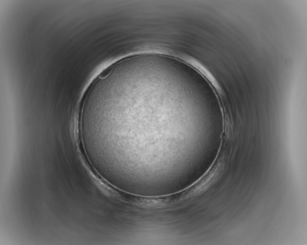 X0000115531101200911131500