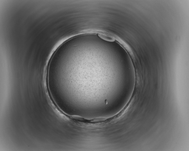 X0000115531102200911131500