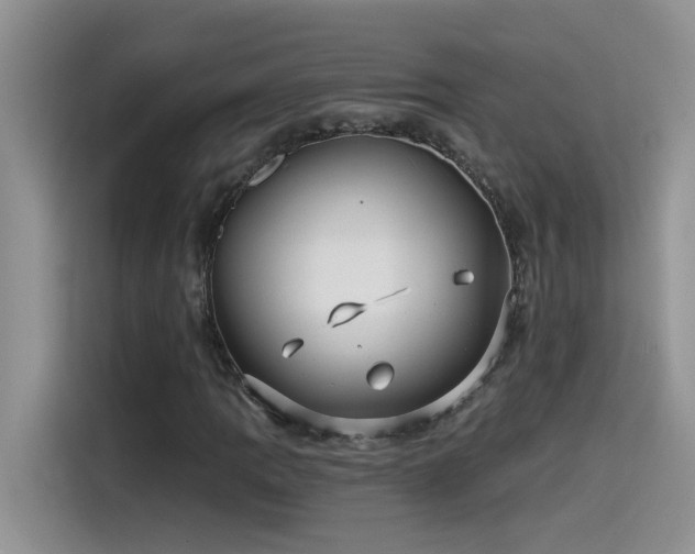 X0000115531109200911131500