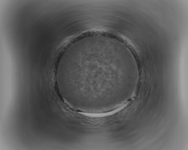 X0000115531110200911131500