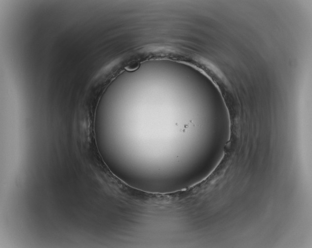 X0000115531111200911131500